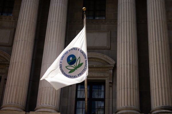 EPA warns more than 1,100 employees could be fired ‘immediately‘ amid Trump government cutbacks